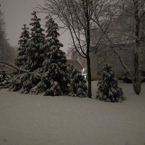 Meet your Posher, Carley